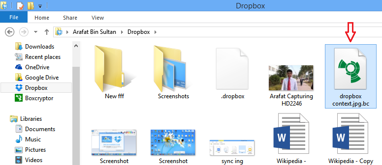dropbox home folder encrypted file