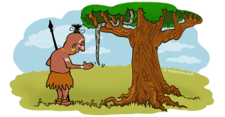 What are Long Tail Keywords and why they Matter