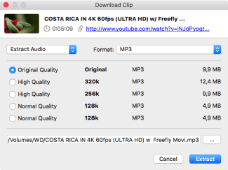 4k video downloader Extracting audio track