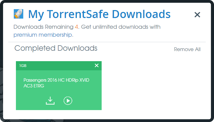 torrent safe downloaded