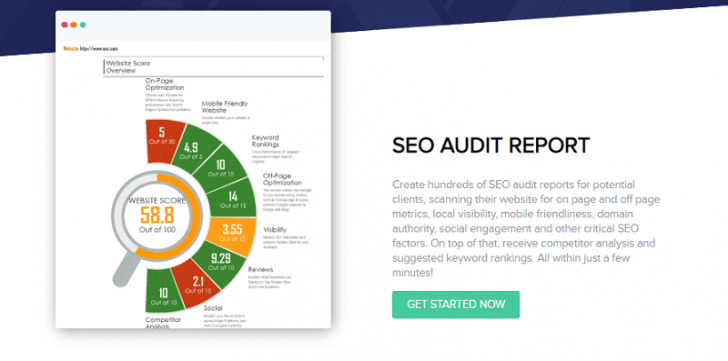 SEO Audit Reports